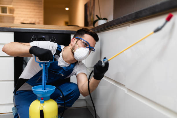 Best Cockroach Control Services  in Lus Valley Marinwood, CA