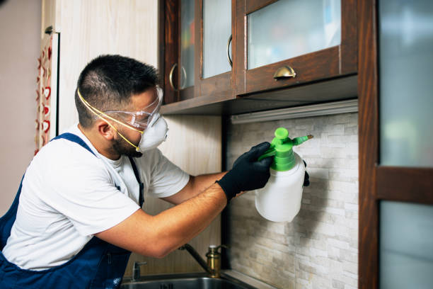 Best Best Pest Control Companies  in Lus Valley Marinwood, CA