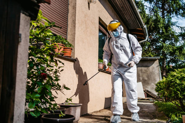 Best Exterminator Services  in Lus Valley Marinwood, CA
