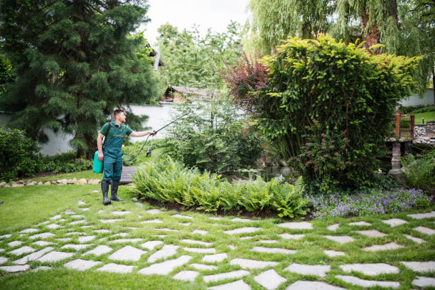 Insect Control in Lucas Valley Marinwood, CA