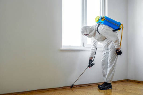 Best Wasp Removal Services  in Lus Valley Marinwood, CA