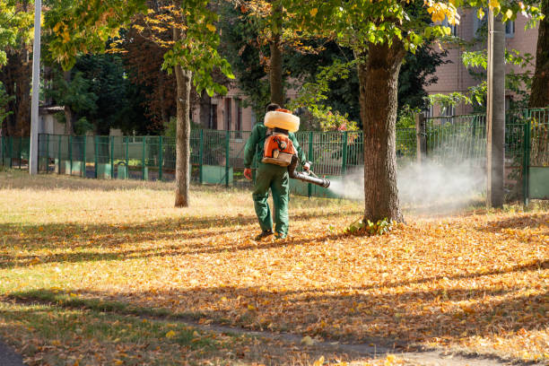 Best Affordable Pest Control Services  in Lus Valley Marinwood, CA