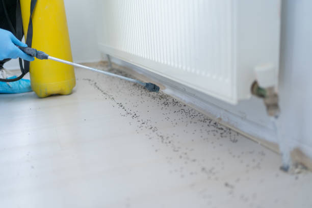 Pest Control for Restaurants in Lucas Valley Marinwood, CA