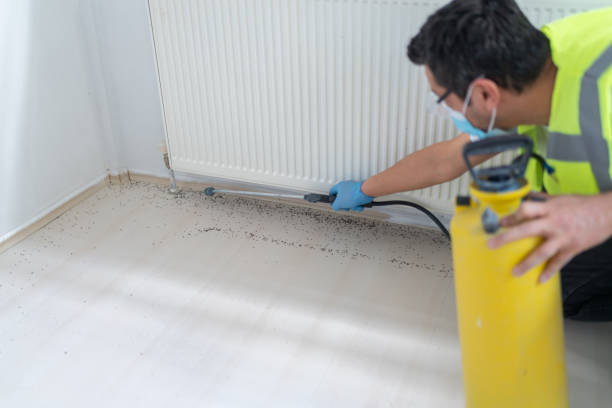 Best Bed Bug Extermination  in Lus Valley Marinwood, CA
